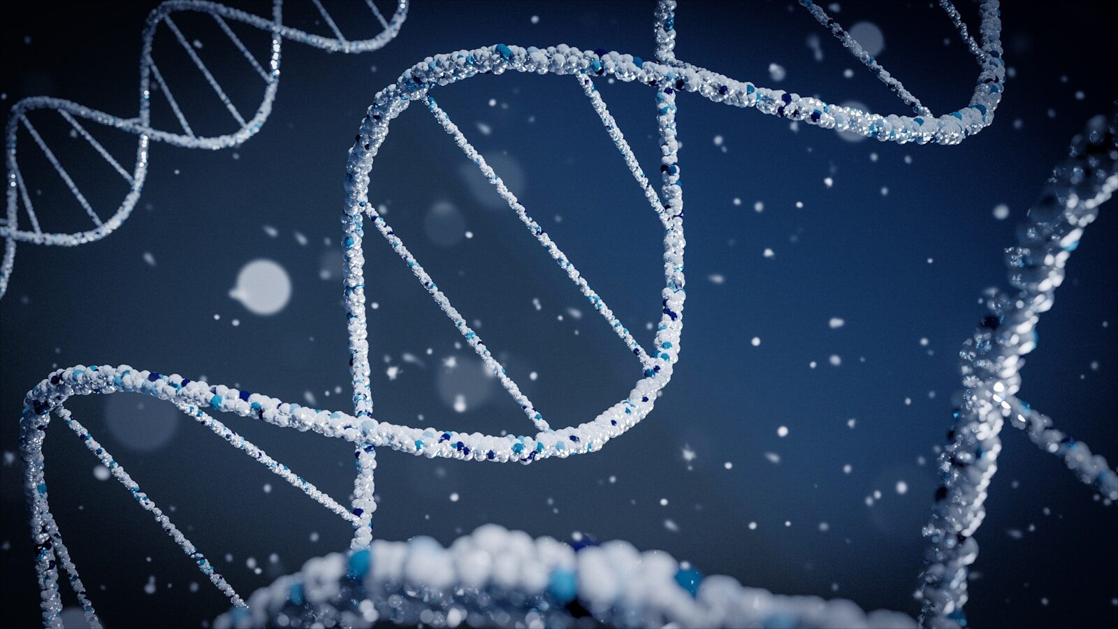 Recent Findings in cell-free DNA