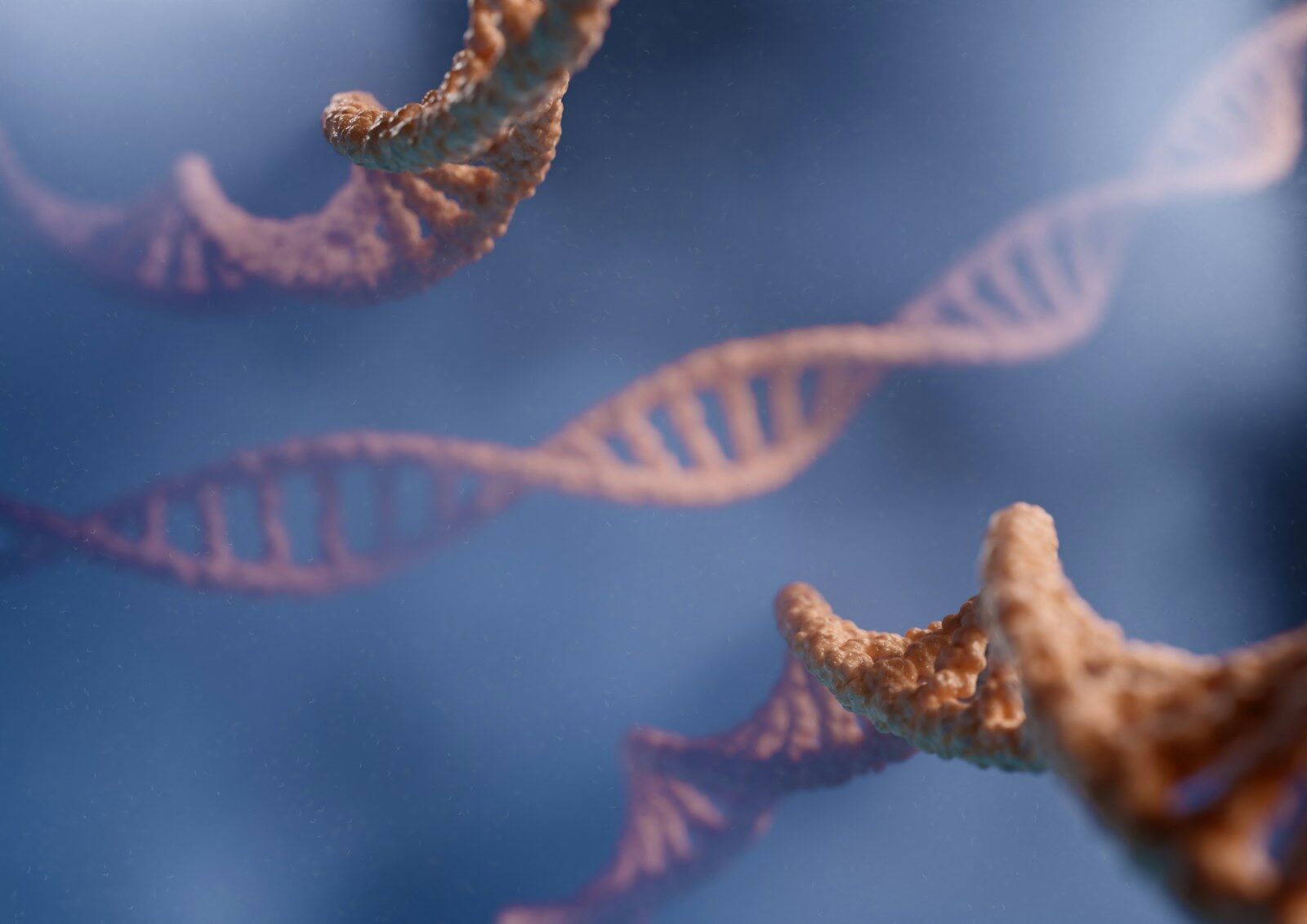 Genetic Factors in Male Infertility