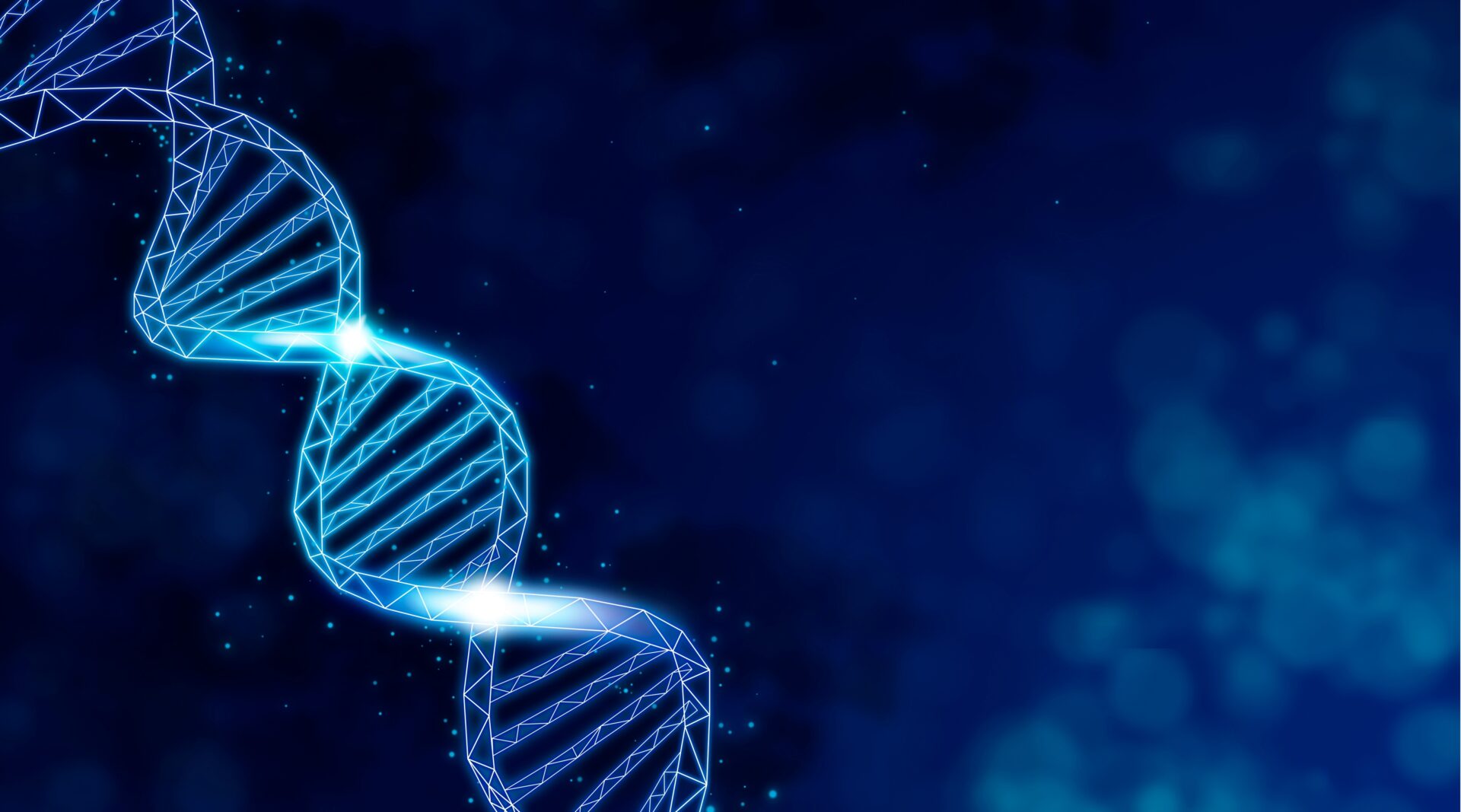 dna fragmentation test