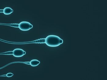 Sperm Facts or Fiction?
