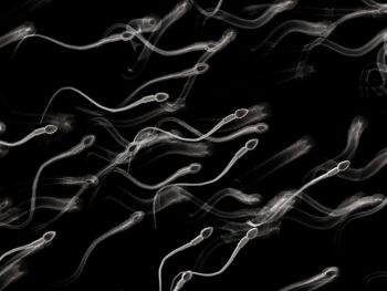 sperm facts