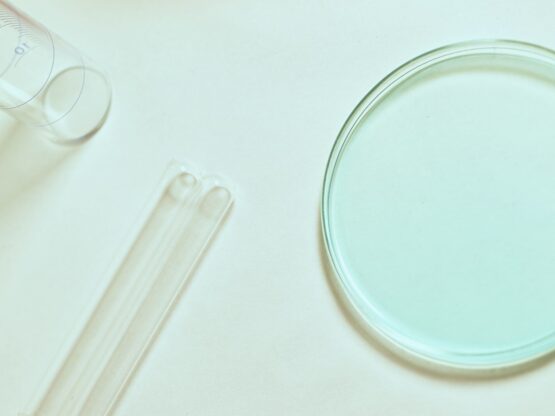 clear plastic round container on white table