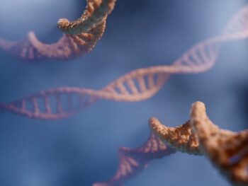 Genetic Factors in Male Infertility