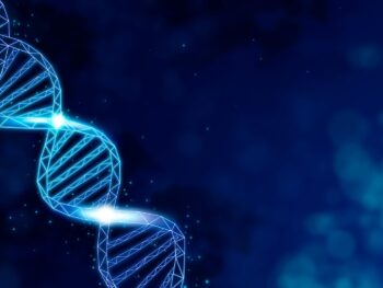 dna fragmentation test