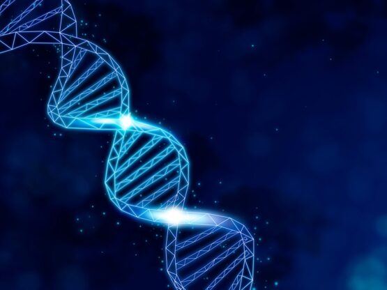 dna fragmentation test